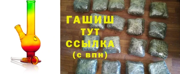 стаф Заполярный