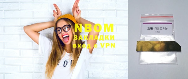 гидра Богданович