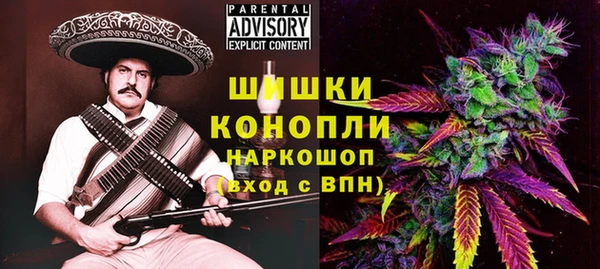 спиды Заречный