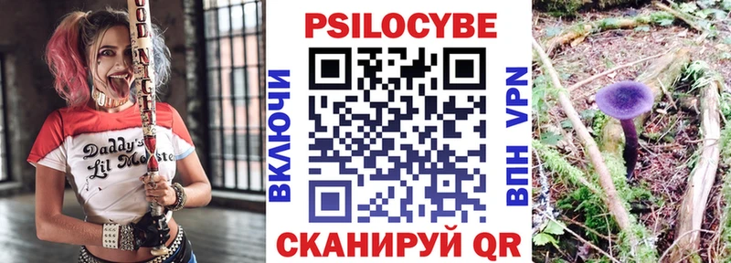 Псилоцибиновые грибы MAGIC MUSHROOMS  сколько стоит  Курильск 
